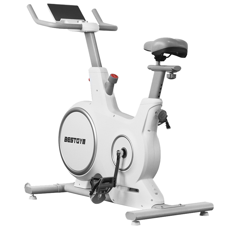 magnetic spinning bike